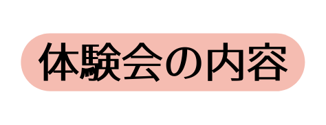 体験会の内容